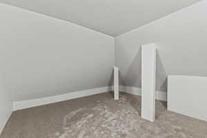 Additional living space featuring carpet and a textured ceiling