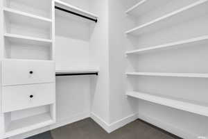 Walk in closet with dark carpet