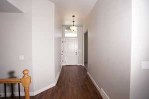 Hallway featuring dark hardwood / wood-style flooring