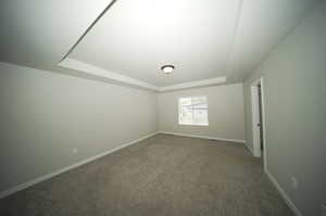 Master Bedroom featuring a raised ceiling