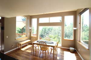 Dining room featuring wood-style floors and plenty of natural light