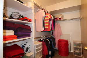 Spacious closet featuring carpet flooring