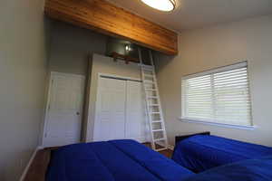 Bedroom featuring lofted ceiling, fun loft area, access with a ladder, and wood-style flooring