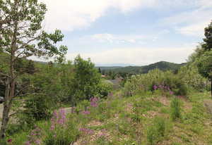 View of property view of mountains