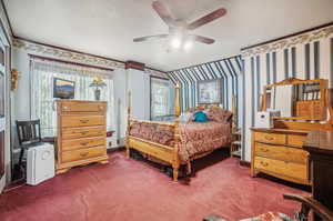 Carpeted bedroom featuring ceiling fan and multiple windows