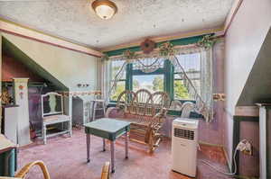 Recreation room featuring a textured ceiling and carpet flooring