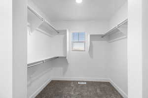 Spacious closet with carpet floors