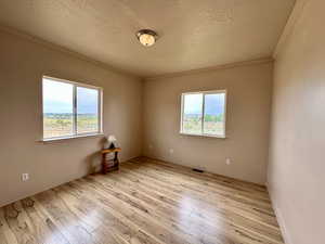 #2 Bedroom - Laminate Wood Floors