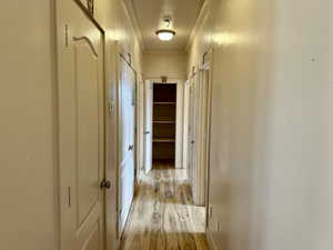 Hall w/ 3 Closets!