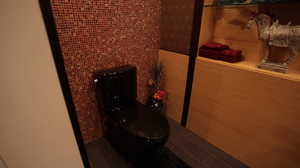 Bathroom with hardwood / wood-style floors and toilet