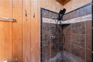 Interior space with tiled shower