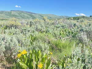 View of mountain feature. Lot with sage