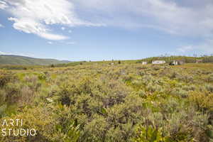 View of local wilderness