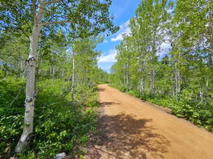 The road west of the lot