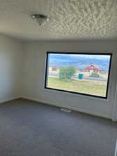 Spare room with carpet floors, a textured ceiling, and plenty of natural light