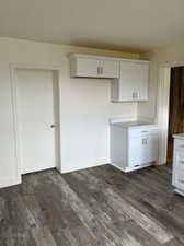 Kitchen with dark hardwood / wood-style floors and white cabinetry