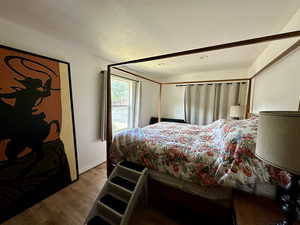 Bedroom featuring hardwood / wood-style floors