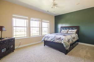 Bedroom featuring carpet flooring and ceiling fan