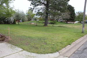 Stake shows North-West boundary looking South-West.