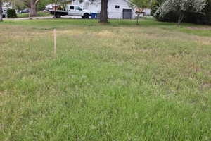 Stake shows the South-West Boundary, looking North.