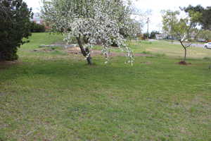 From North-East Boundary looking South.