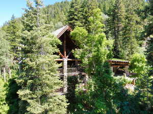 West side of the Lodge with geometric log truss system peeking through the trees