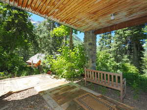 Wooded Northwestern views from basement patio