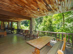 Wooded mountain cabin views