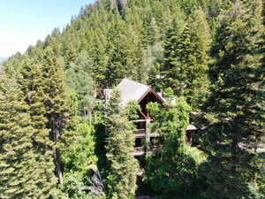 Haworth Lodge nestled among the trees