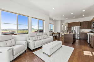 Living room with sink, plenty of natural light, and dark hardwood / wood-style flooring