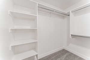 Walk in closet with carpet floors