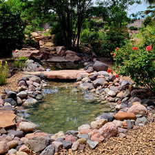 Water feature in yard