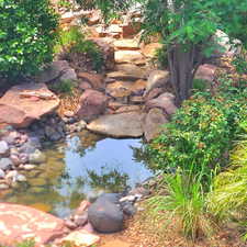 Water feature in yard