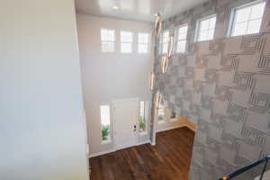 Foyer entrance featuring dark hardwood / wood-style flooring and a wealth of natural light