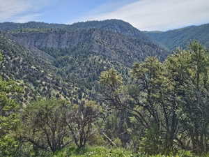 Chalk Creek area to the north east of the property