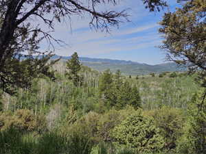 View across the property