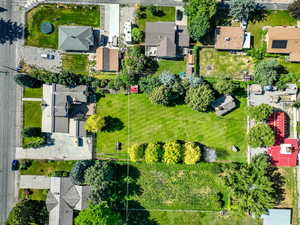 View of bird's eye view