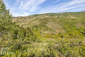 View of mountain feature