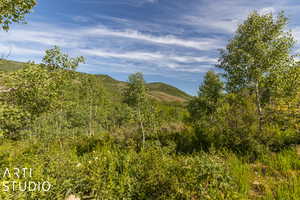 View of mountain feature