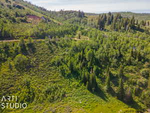 View of bird's eye view