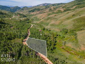 Drone / aerial view featuring a mountain view