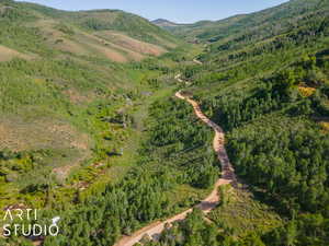 Drone / aerial view featuring a mountain view