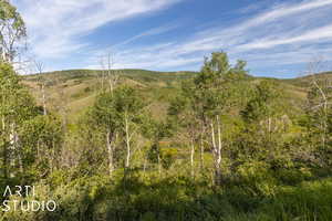 View of property view of mountains