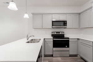 Kitchen with gray cabinets, stainless steel appliances, light hardwood / wood-style flooring, and sink