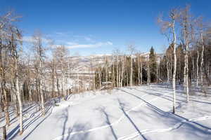 Snowy view featuring a mountain view