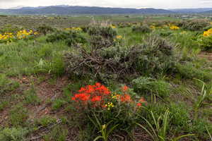 Photo 8 of 1235 E HOYT PEAK RANCH RD