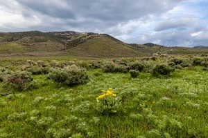 Photo 7 of 1235 E HOYT PEAK RANCH RD