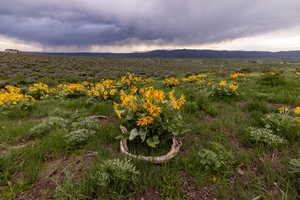 Photo 10 of 1235 E HOYT PEAK RANCH RD