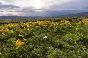 Photo 6 of 1235 E HOYT PEAK RANCH RD