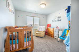 Bedroom featuring carpet floors